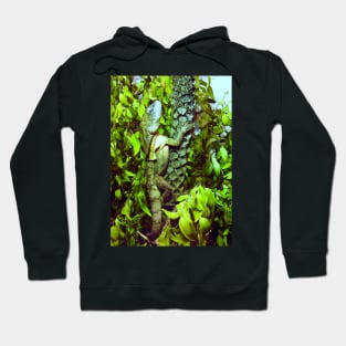 Frilled-necked lizard Hoodie